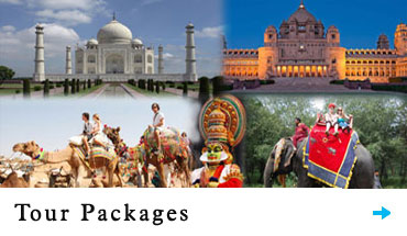 Car Rental Services