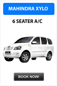 Taxi Services